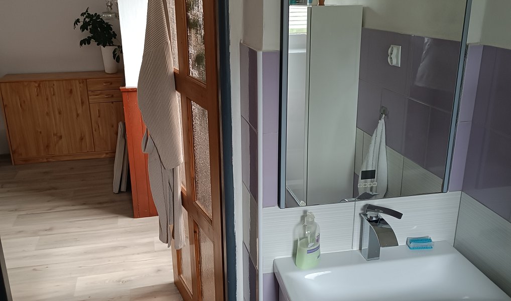 Prodej domu 150 m² s pozemkem 1 000 m², Šonov – náhled fotky 25