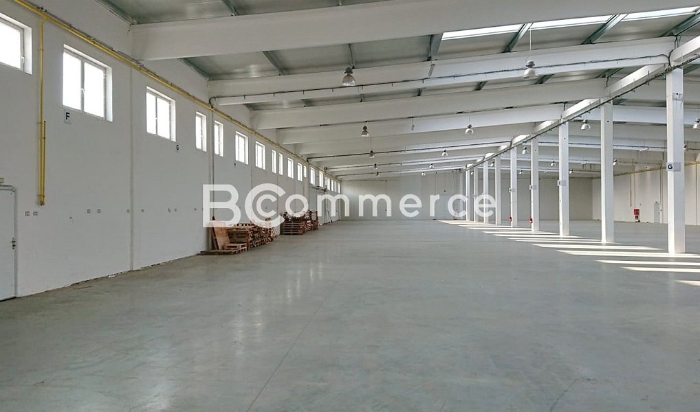 Pronájem skladovacích prostor 2 400 m², Kuřim – náhled fotky 6