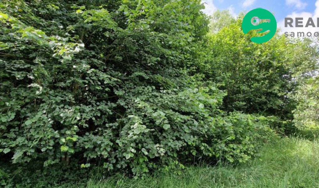 Prodej stavebního pozemku 1 122 m², Zákupy – náhled fotky 4