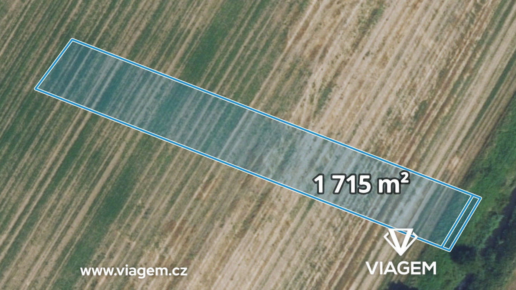 Prodej pole 1 714 m²