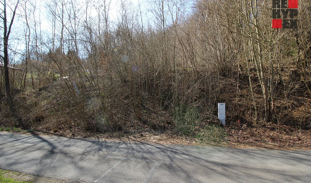 Prodej stavebního pozemku 786 m², Železný Brod – náhled fotky 8