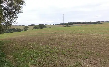 Dražba pole 17 688 m², Traplice