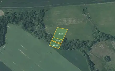 Prodej louky 5 637 m², Vítkov, okres Opava