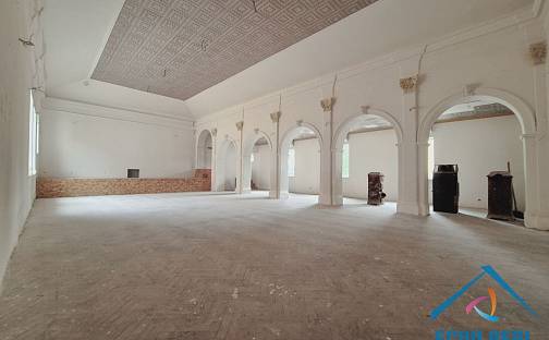 Prodej obchodních prostor 1 080 m², Milovice - Benátecká Vrutice, okres Nymburk