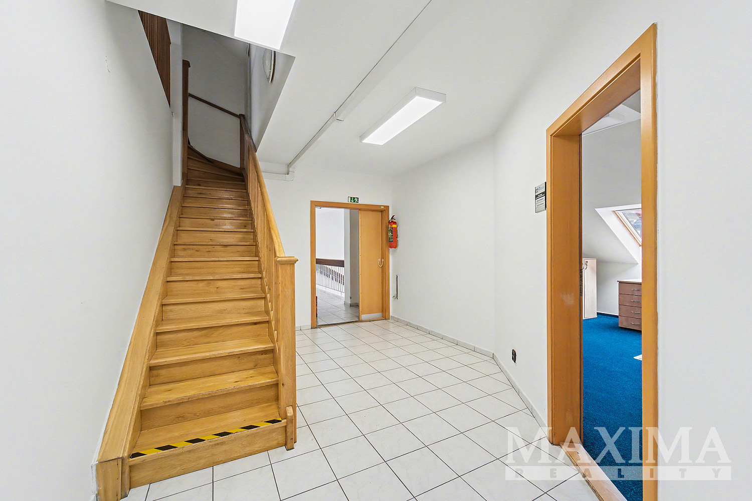 Fotka 24 z 30