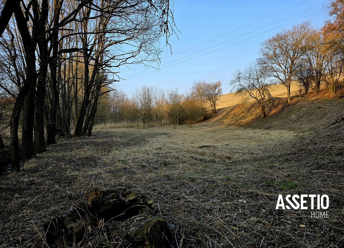 Prodej lesa 1 671 m²