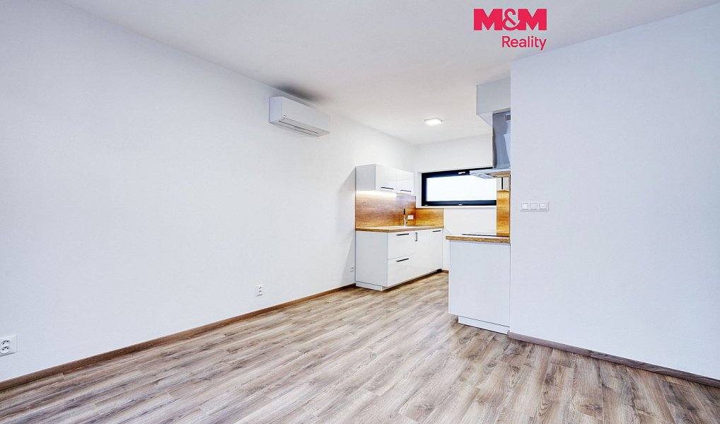 Pronájem bytu 2+kk, 54 m², Východní Předměstí - Plzeň-město, Plzeň