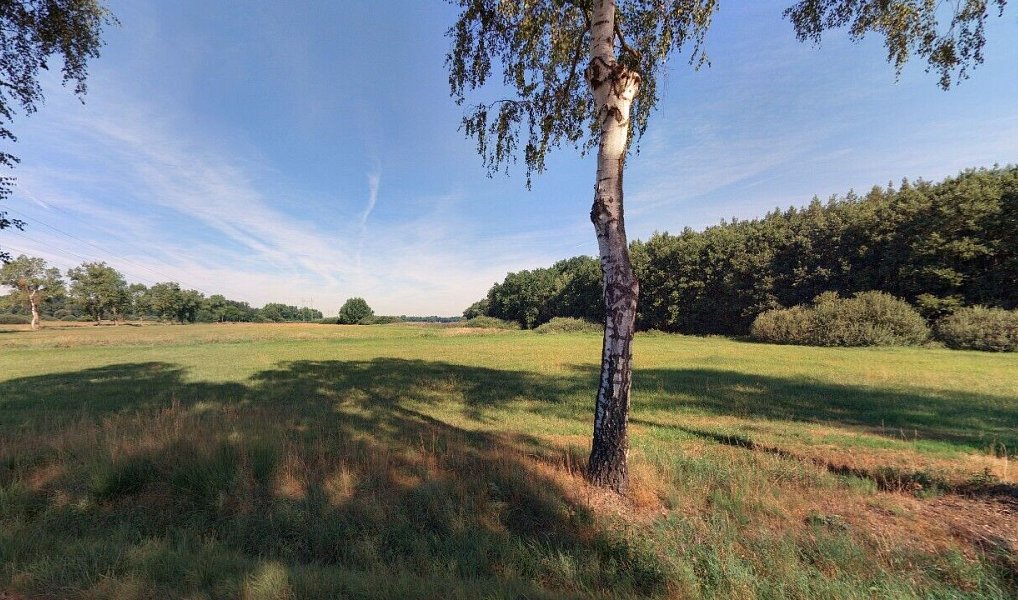 Prodej pole 6 021 m², Vodňany – náhled fotky 2