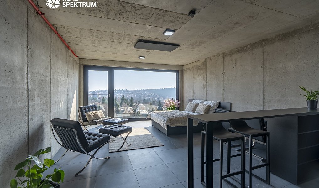 Pronájem bytu 1+kk 35 m², Brno – náhled fotky 5