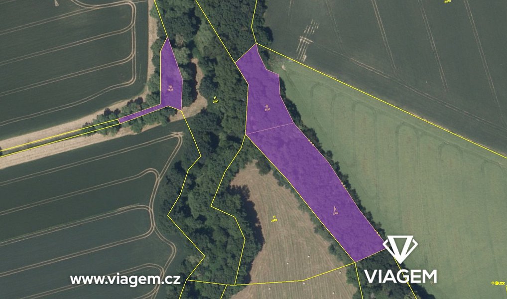 Prodej lesa 6 848 m², Nupaky – náhled fotky 4