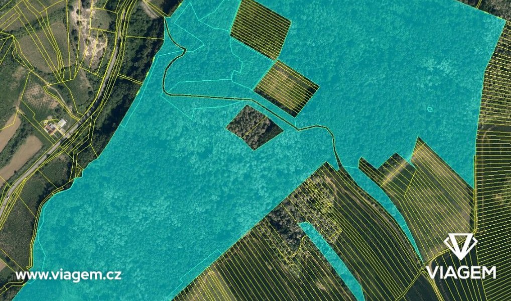 Prodej lesa 11 303 m², Žeravice – náhled fotky 3