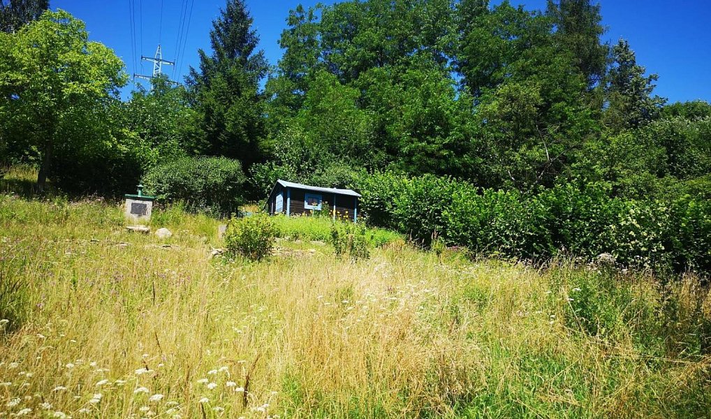 Prodej zahrady 3 146 m², Česká Třebová – náhled fotky 6