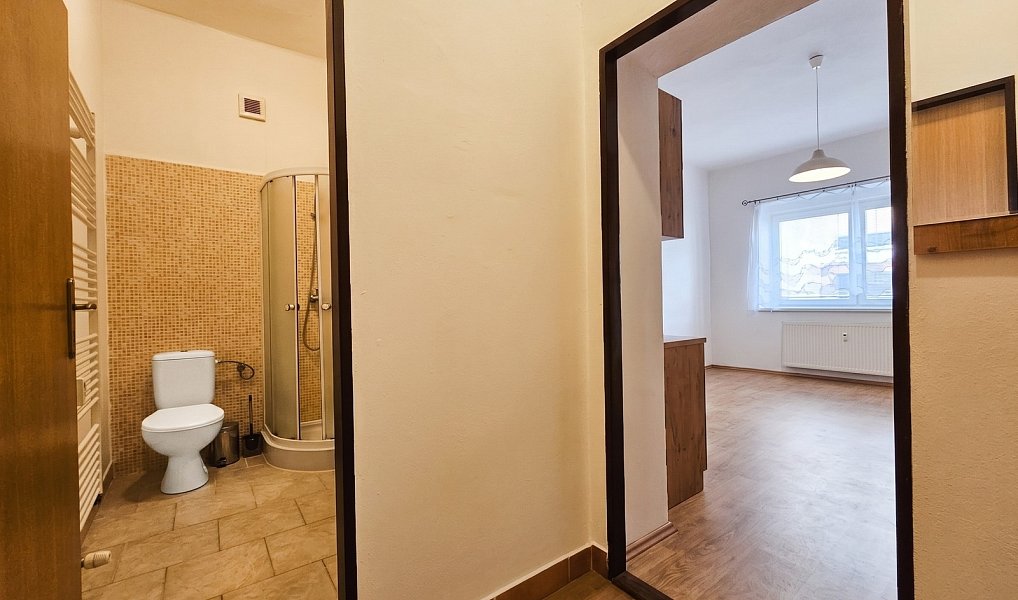 Pronájem bytu 2+kk 39 m², Žatec – náhled fotky 10