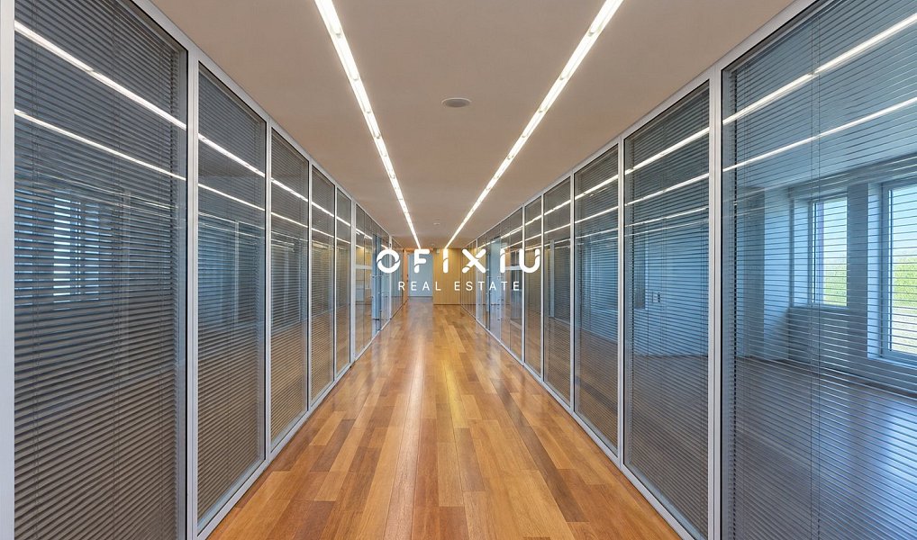 Pronájem kanceláře 1 500 m², Praha – náhled fotky 8