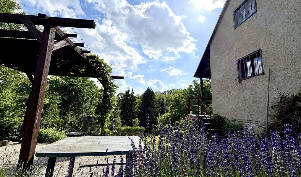 Prodej chaty/chalupy 20 m² s pozemkem 1 812 m², Zbýšov – náhled fotky 10