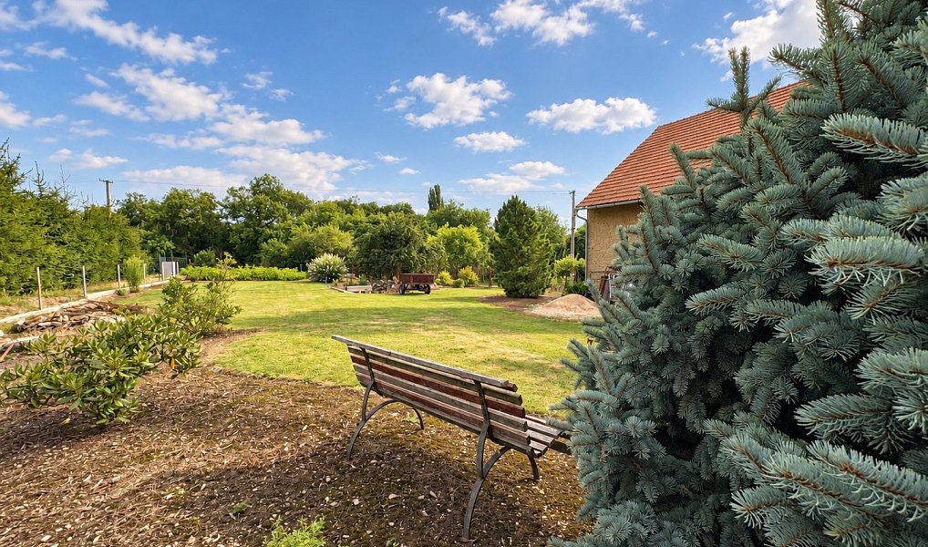 Prodej stavebního pozemku 1 230 m², Toušice – náhled fotky 9