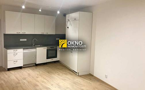 Pronájem bytu 1+kk 40 m², Hřebíčkova, Zlín