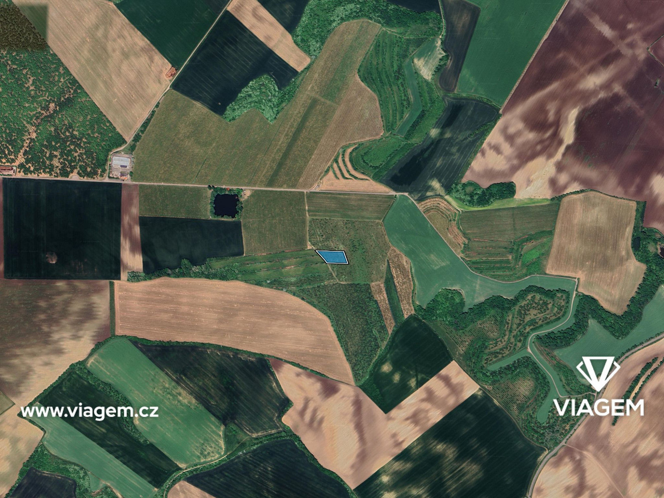 Prodej pole 1 760 m² – fotografie 3