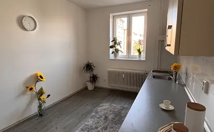 Pronájem bytu 1+1 47 m², Prostorná, Ostrava