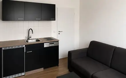 Prodej bytu 1+kk 20 m², Puklicova, České Budějovice - České Budějovice 3