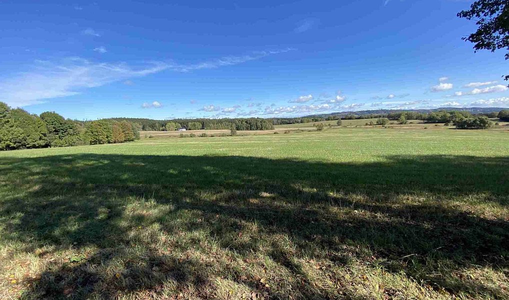 Prodej pole 4 706 m², Nový Rychnov – náhled fotky 4