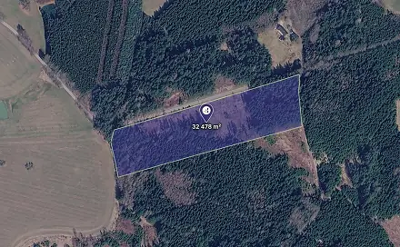 Prodej lesa 12 302 m², Milevsko, okres Písek