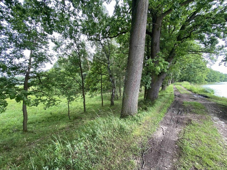 Dražba louky 1 639 m²