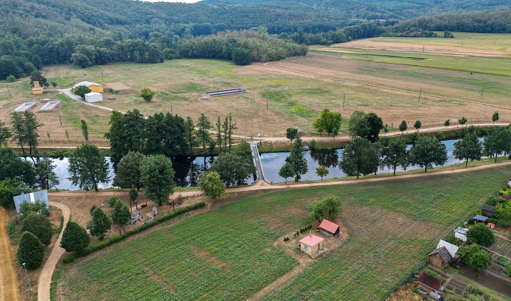 Prodej domu 150 m² s pozemkem 311 m², Ivančice – náhled fotky 42