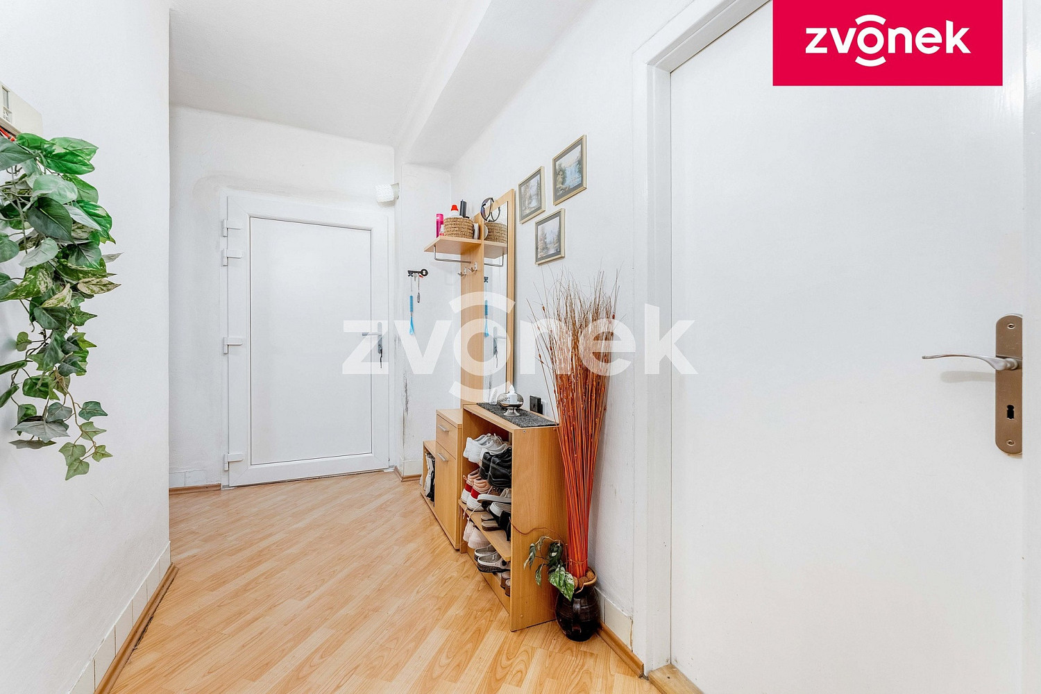 Fotka 16 z 24