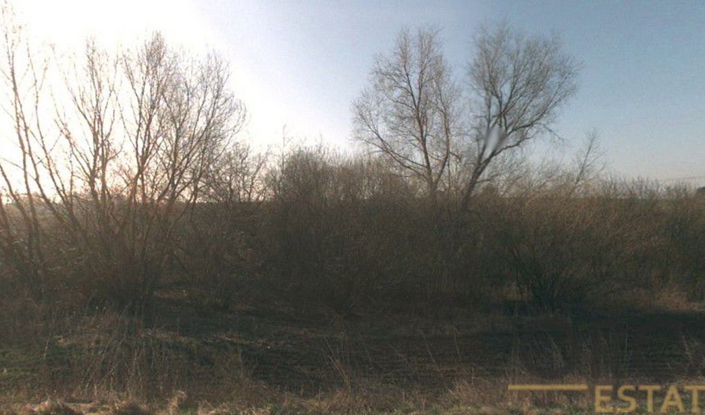 Prodej lesa 4 595 m², Stařechovice – náhled fotky 2