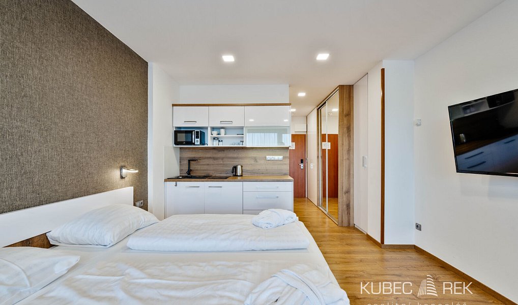 Prodej komerčního objektu (jiného typu) 30 m², Frymburk – náhled fotky 4