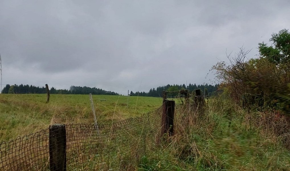 Prodej stavebního pozemku 1 259 m², Chodov – náhled fotky 7