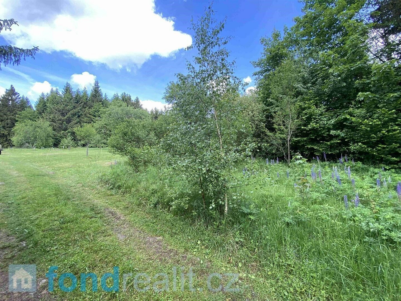 Prodej stavebního pozemku 2 584 m² – fotografie 3