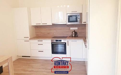 Pronájem bytu 2+kk 45 m², České Budějovice - České Budějovice 2