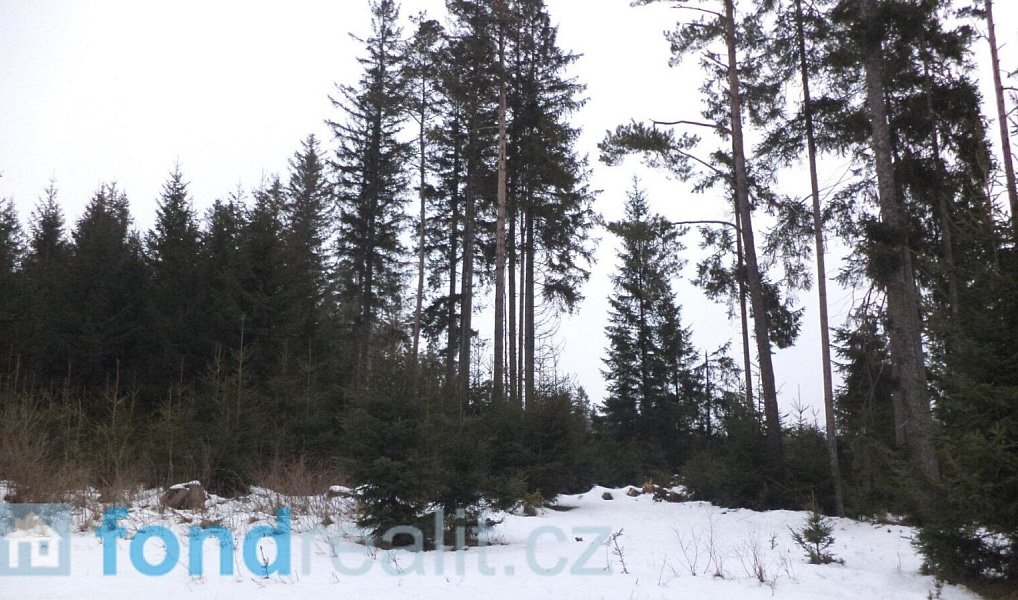 Prodej pozemku 1 694 m², Nová Bystřice – náhled fotky 2