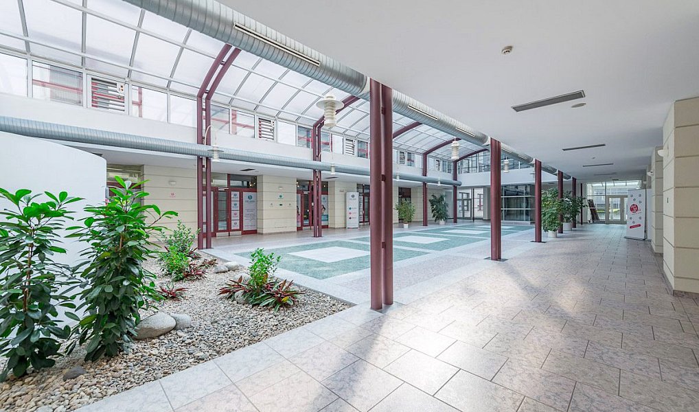 Pronájem kanceláře 60 m², Praha – náhled fotky 9