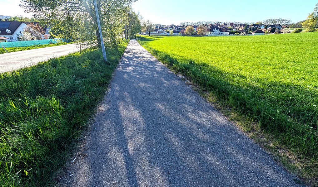 Prodej pole 16 452 m², Strakonice – náhled fotky 5