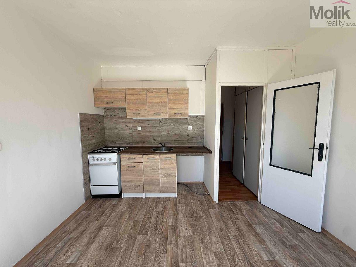 Pronájem bytu 1+1 35 m²