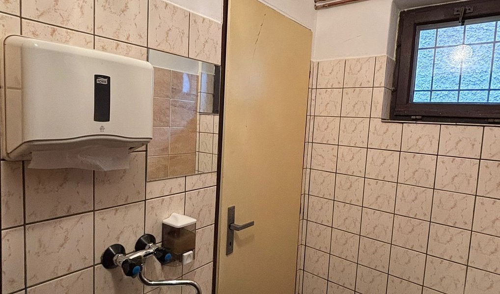 Prodej obchodních prostor 80 m², Nová Paka – náhled fotky 12