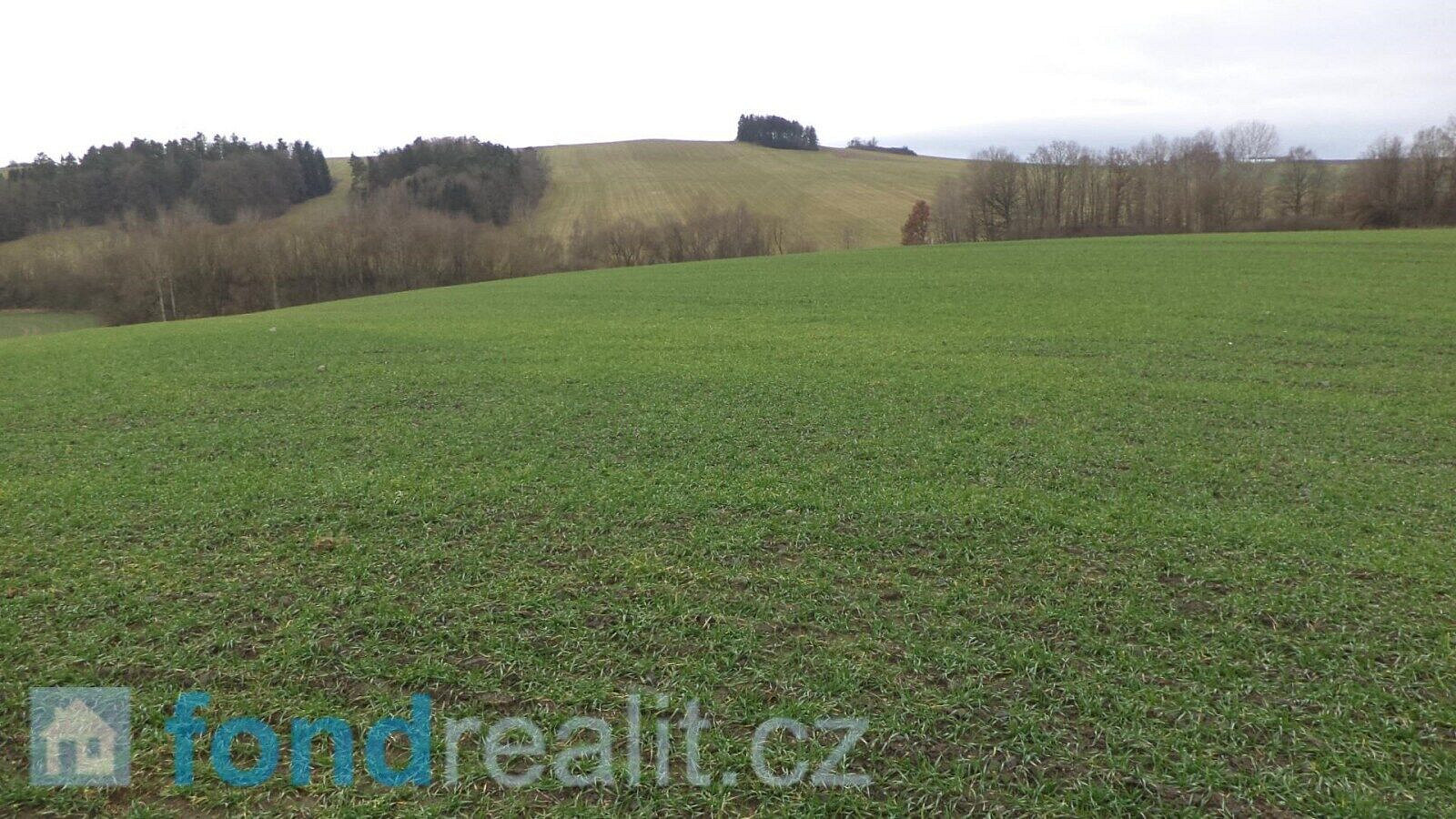 Prodej pole 12 056 m² – fotografie 3