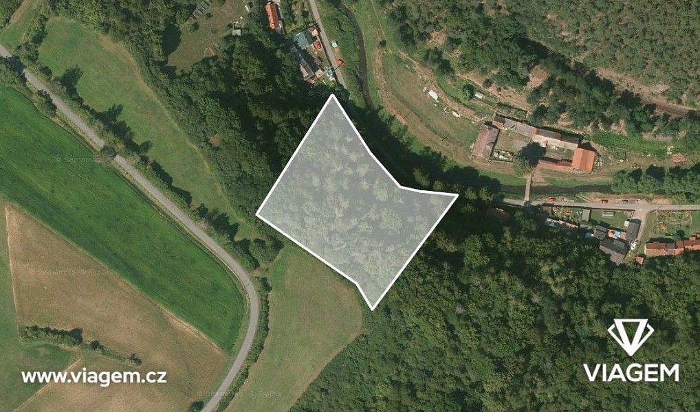 Prodej lesa 1 312 m², Pavlíkov – náhled fotky 2