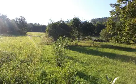 Dražba zahrady 694 m², Město Albrechtice