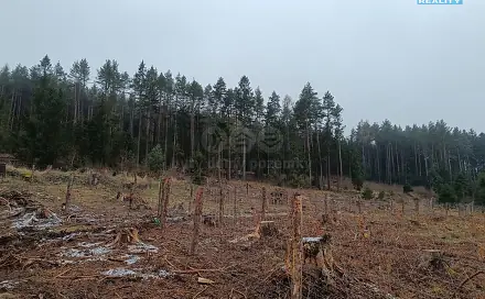 Prodej lesa 37 567 m², Vacovice, okres Strakonice