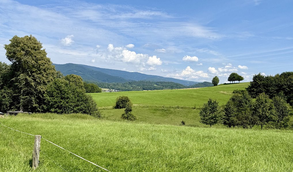 Prodej zahrady 11 072 m², Rožnov pod Radhoštěm – náhled fotky 7