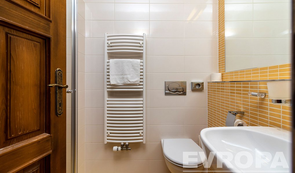 Prodej ubytovacího objektu 1 100 m², Nové Město na Moravě – náhled fotky 24