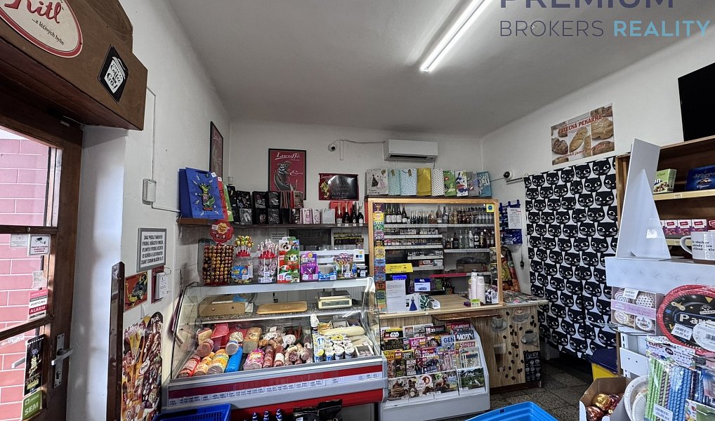 Pronájem obchodních prostor 90 m², Žatec – náhled fotky 10