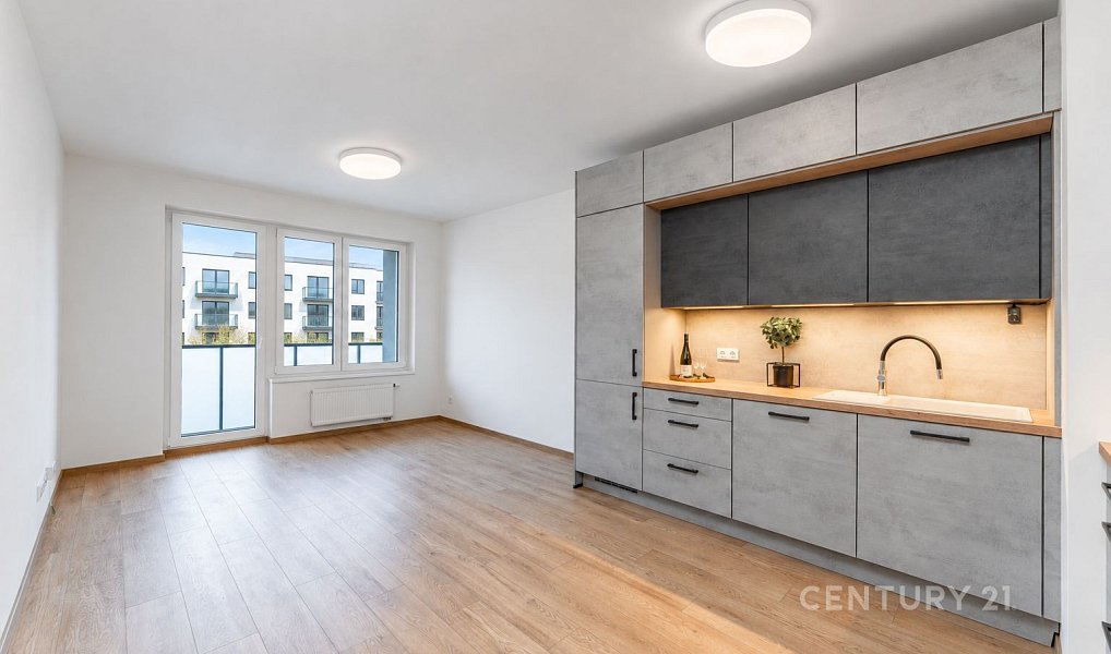 Pronájem bytu 3+kk 66 m², Praha – náhled fotky 3