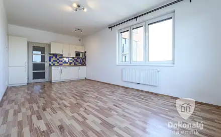 Pronájem bytu 1+kk 33 m²