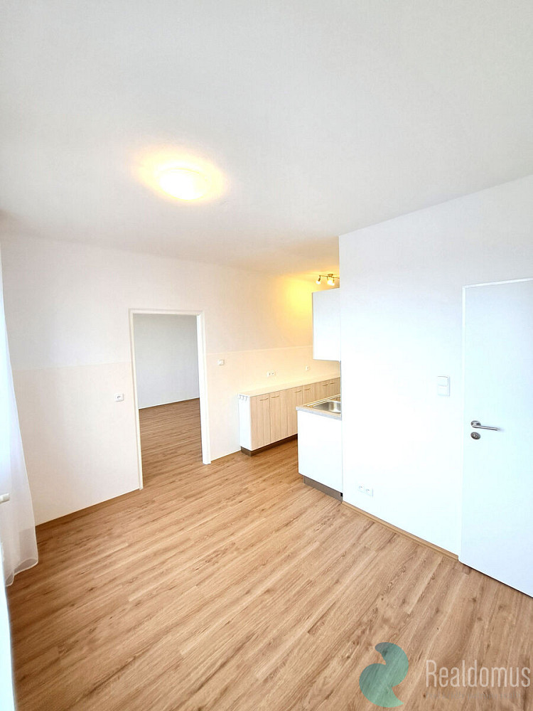Pronájem bytu 1+1 50 m² – fotografie 5
