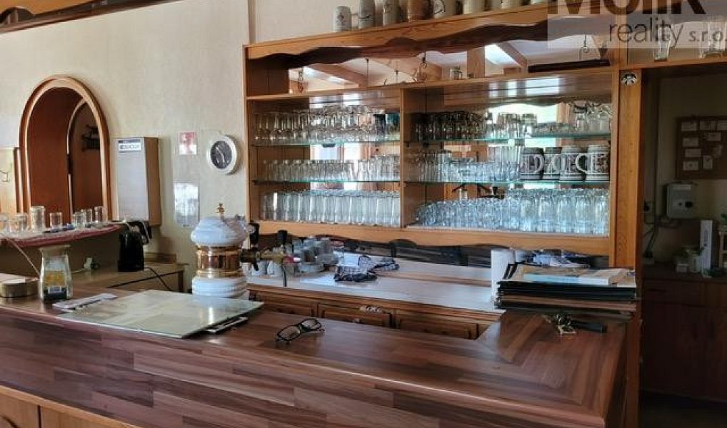 Pronájem ubytovacího objektu 1 753 m², Český Jiřetín – náhled fotky 8